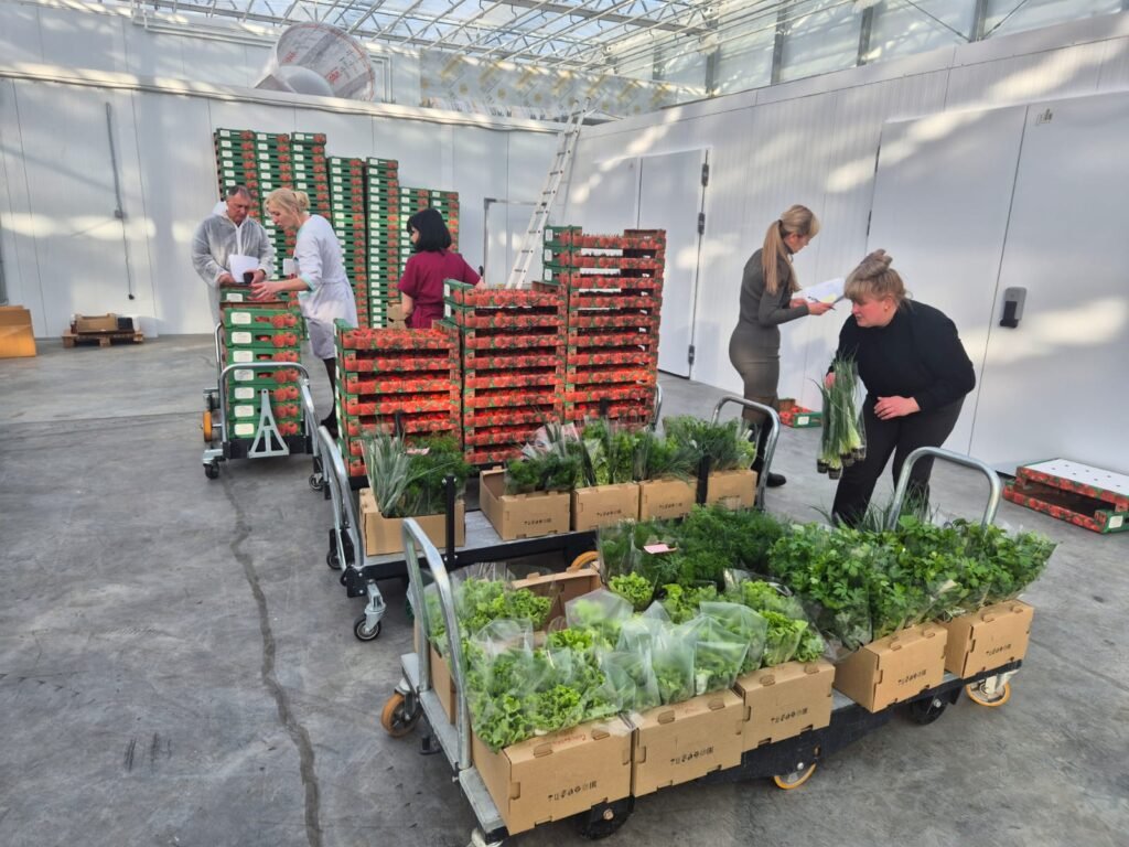 Sustainable Greenhouse Design: Energy Efficiency for the Future