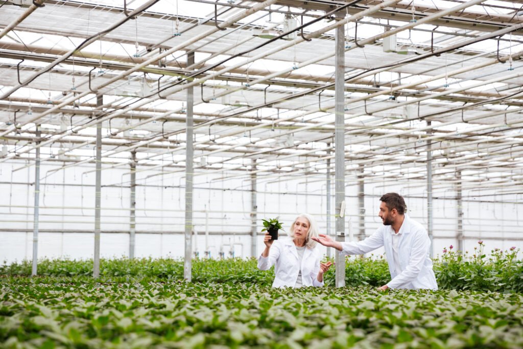 Sustainable Greenhouse Design: Energy Efficiency for the Future