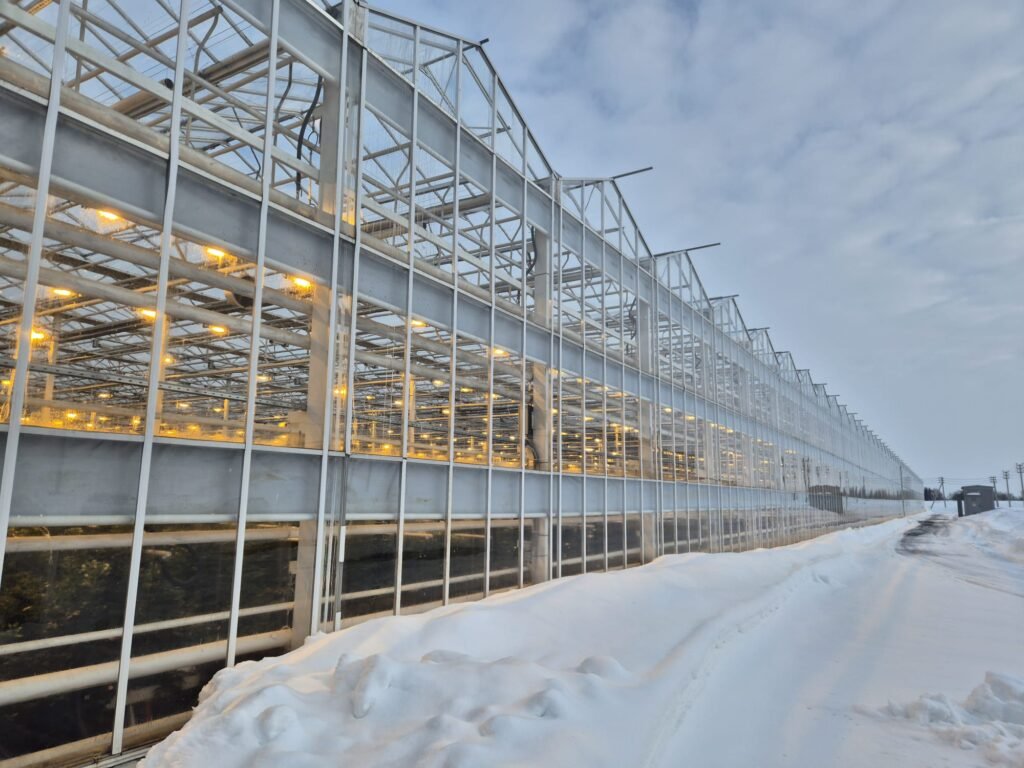 Why Dutch Engineering Sets the Global Standard in Greenhouse